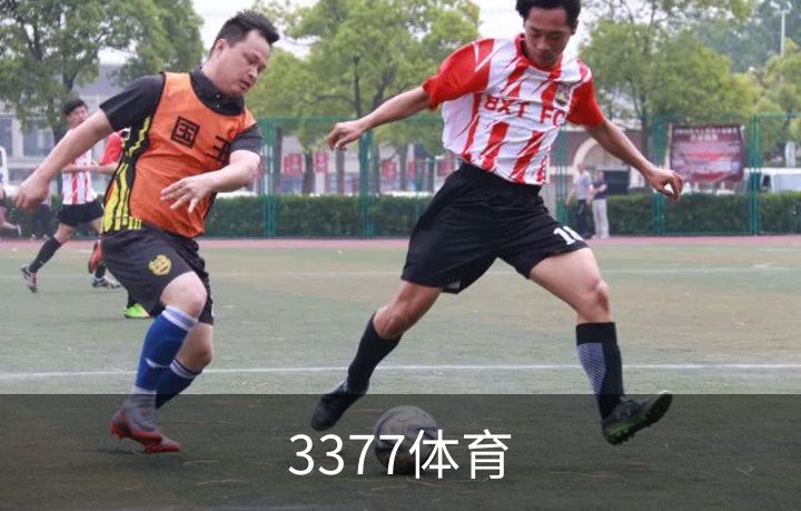 3377体育介绍